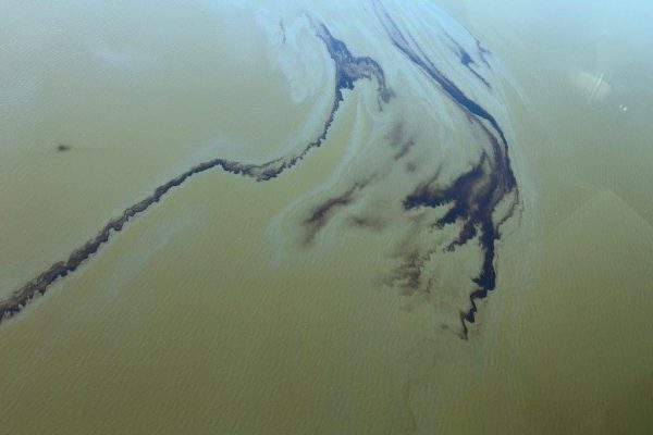 Oil spill in Gulf 2